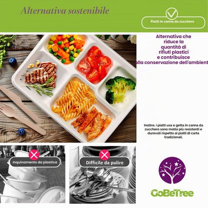 GoBeTree 100 Piatti monouso da 26 cm con 5 scomparti. Piatti in canna da zucchero, stoviglie monouso extraforti di colore bianco. Piatti rettangolare.