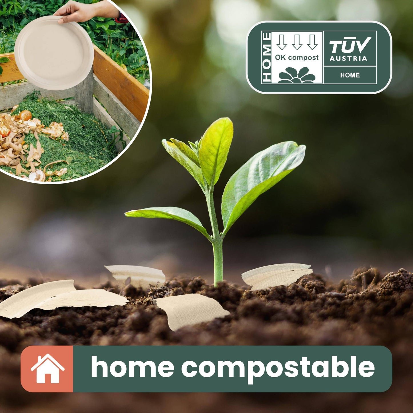 HAAGO 100 Piatti Dessert Compostabili Resistenti in Canna da Zucchero 18cm / 7" – Piattini Dessert di Carta Robusti, Antigrasso & Anti-Perdita – Biodegradabili & Monouso per Cibi Caldi/Freddi, Feste